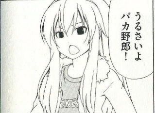 うるさいよバカ野郎!